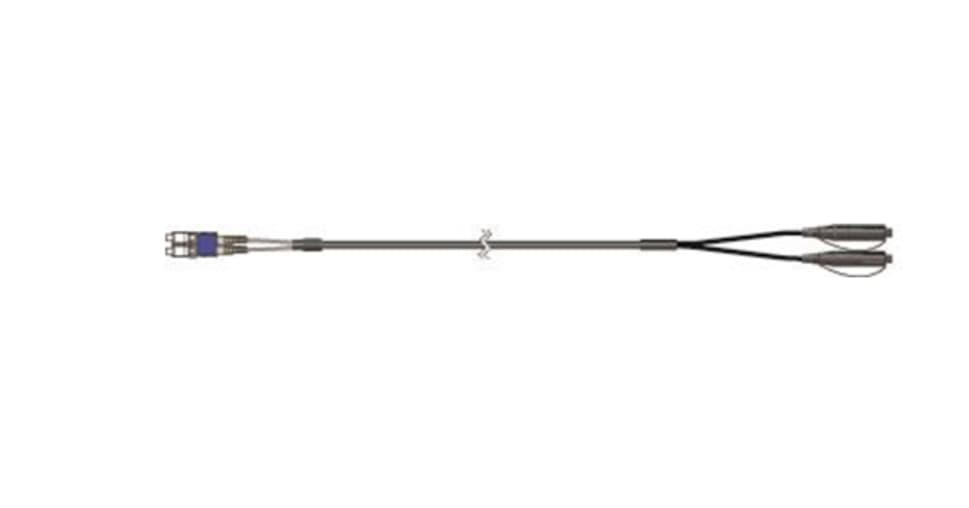 Unknown FHBDW-H2Q22-0010F - 10 Single-mode 2 Fiber Drop Assembly