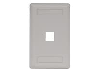Hubbell IFP11OW - Wall Plate (ifp) - Flush 1 Gang 1 Port Office White